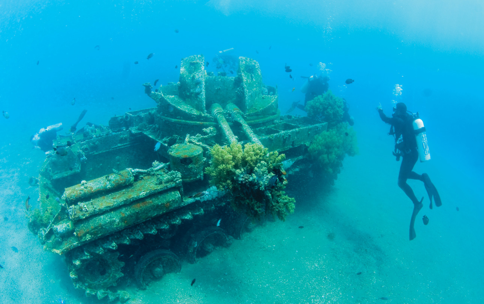 Day 2 - Power Station / 1St Bay Diving